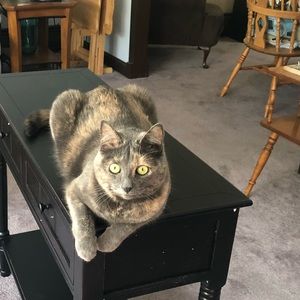 Meet your Posher, Jamie